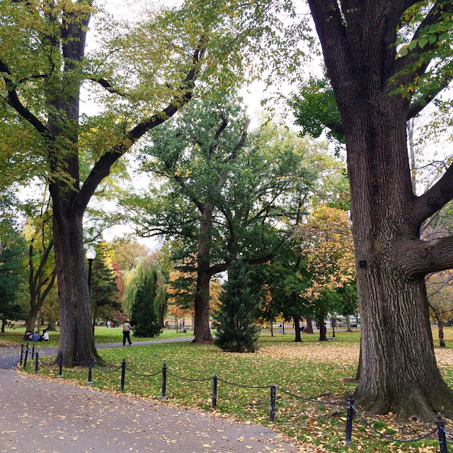 boston-common