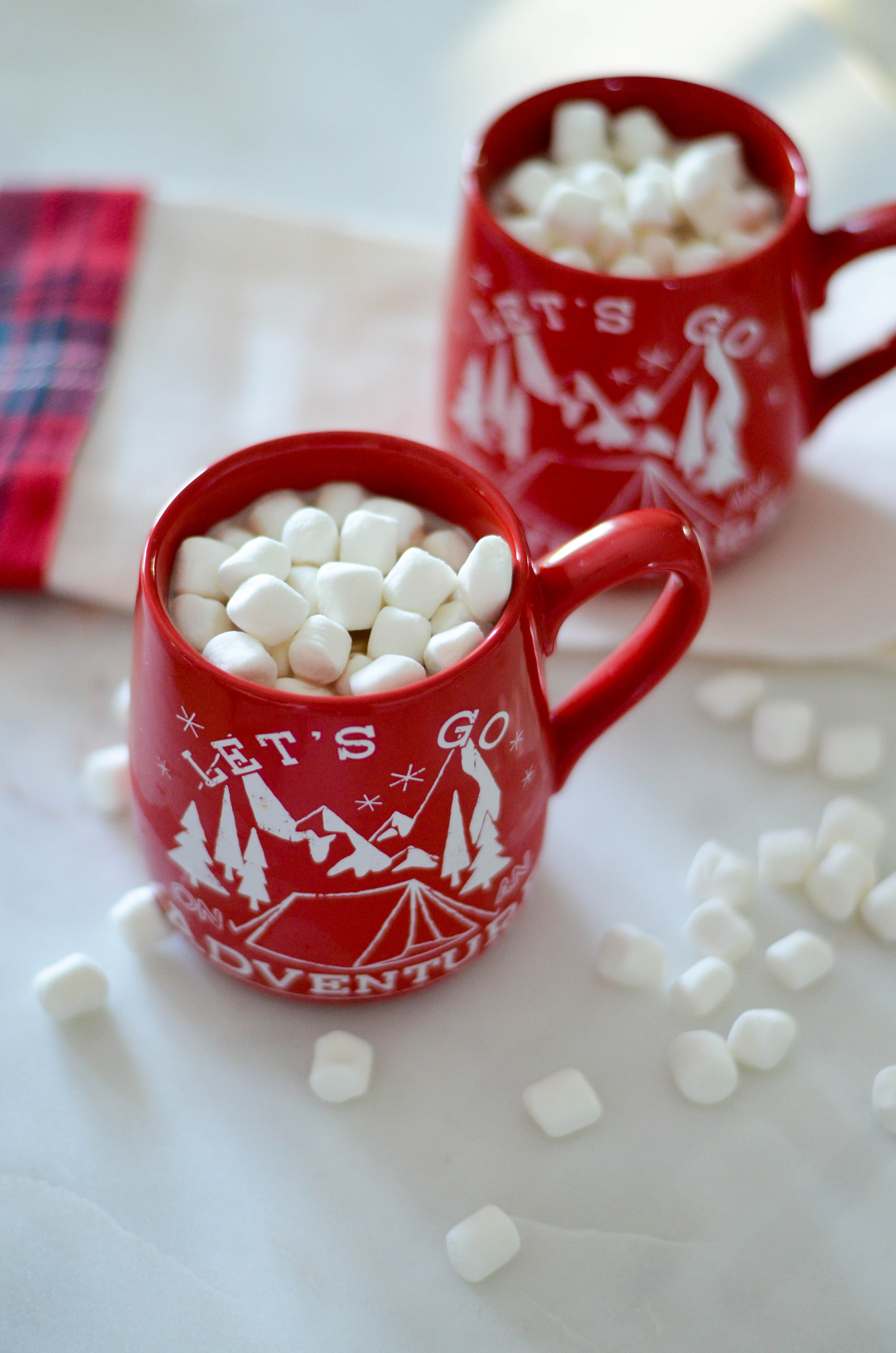 hot-cocoa-toasted-marshmallow-recipe-2