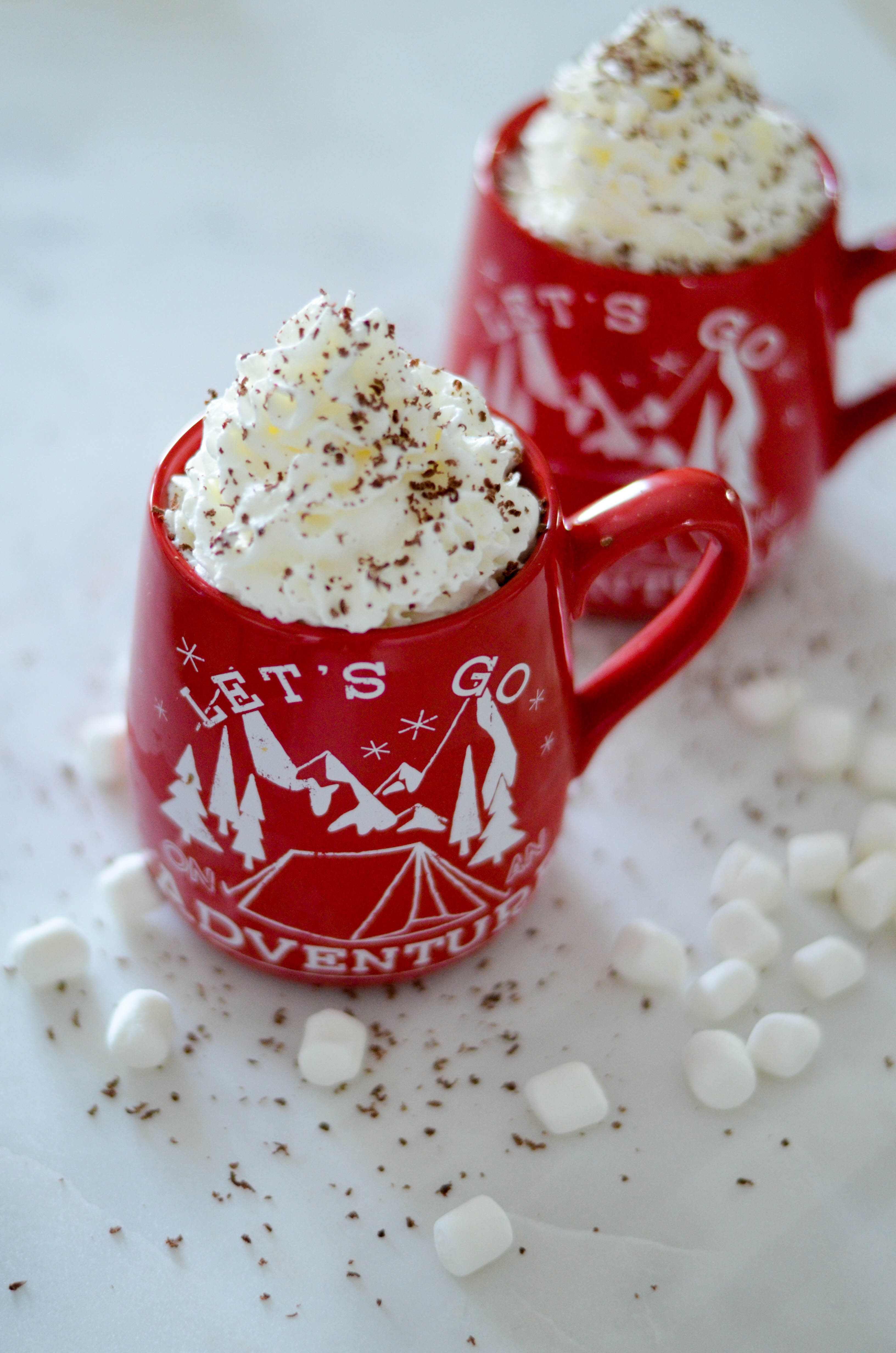 hot-cocoa-toasted-marshmallow-recipe-6