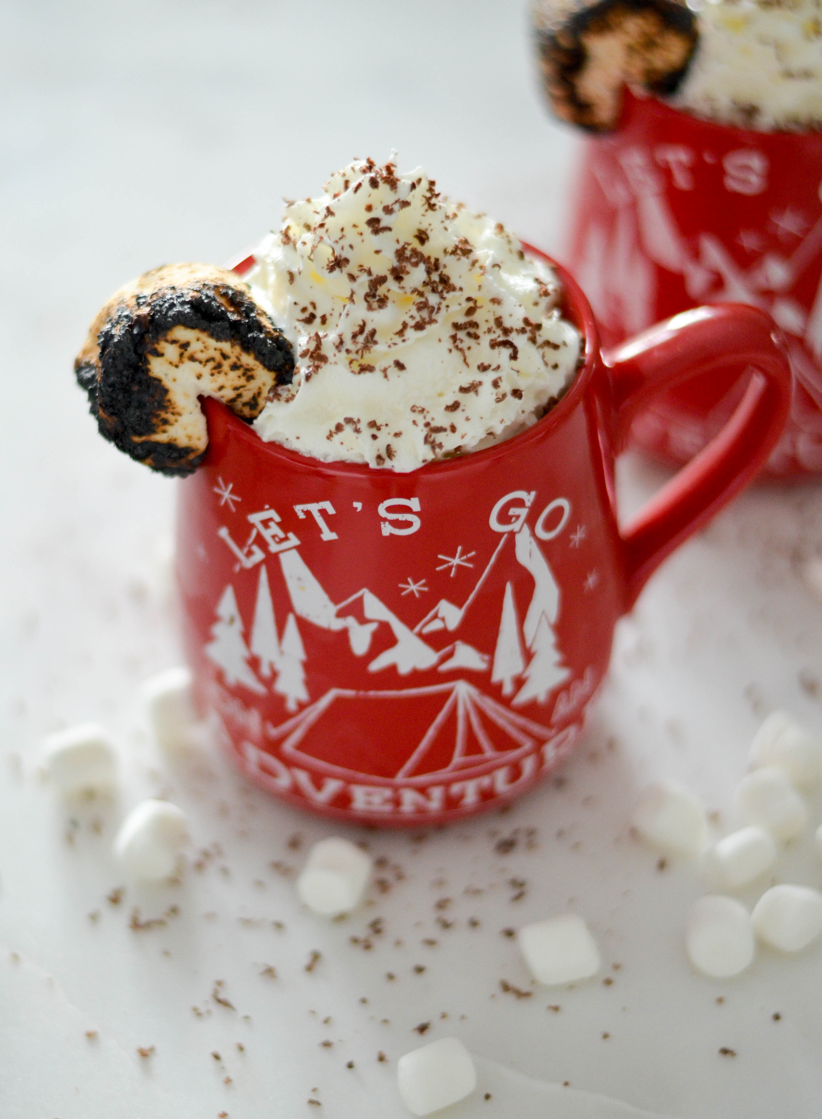 hot-cocoa-toasted-marshmallow-recipe-8