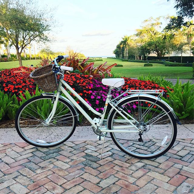 Schwinn hybrid bike and basket