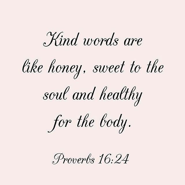 Proverbs 16 24 Kinds Words are like honey