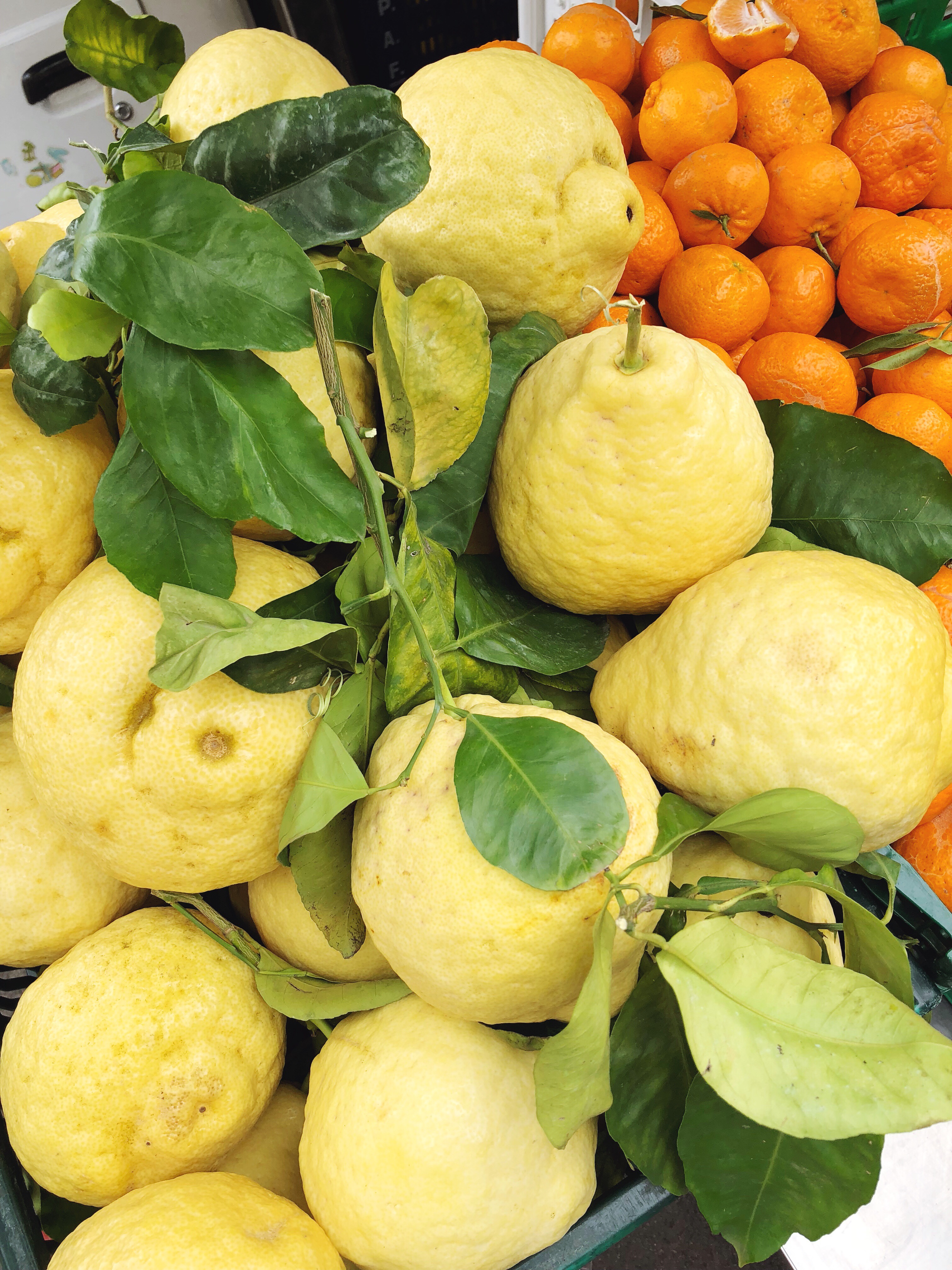 Sorrento Lemons