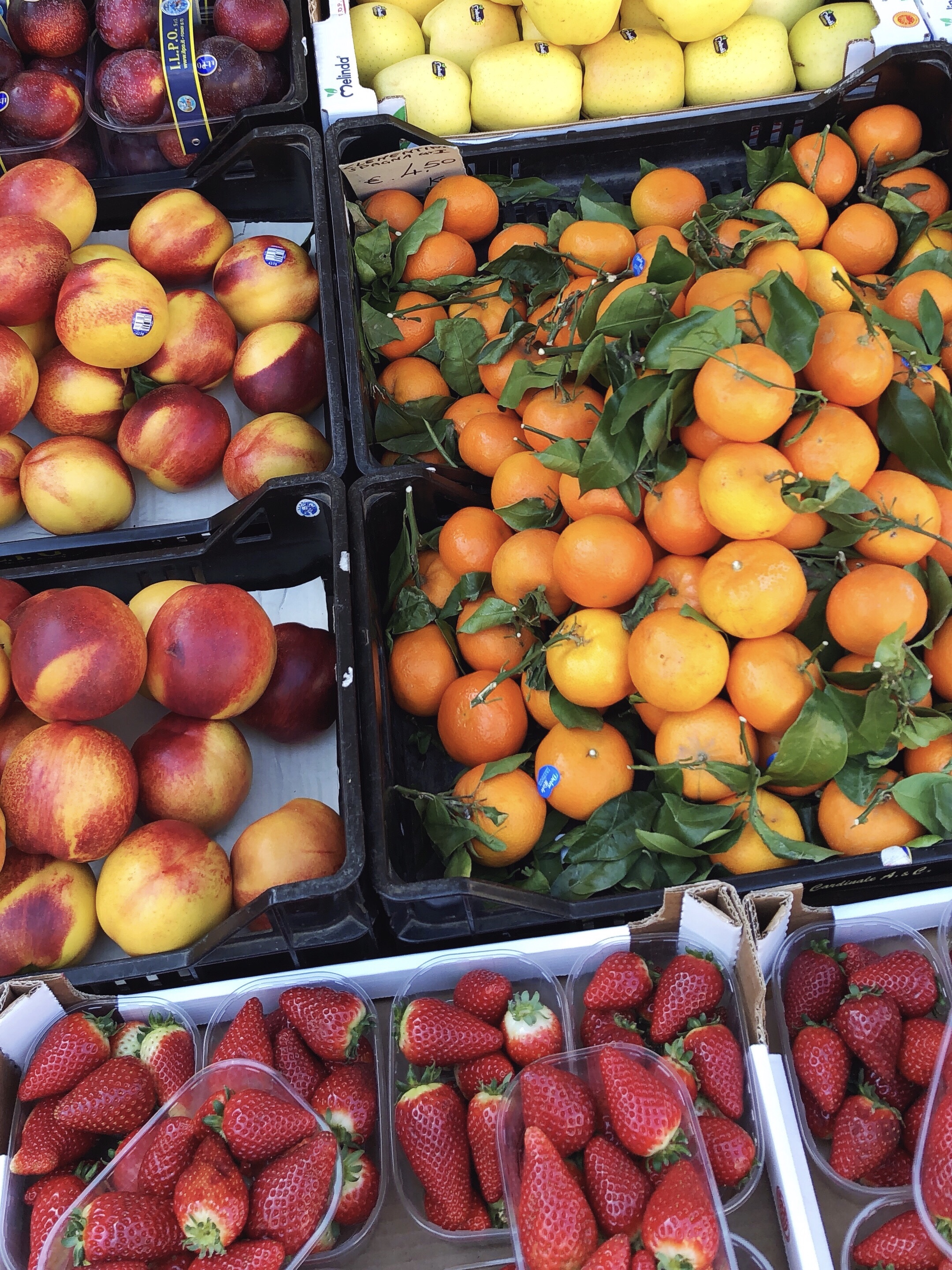 fruit stands in Rome