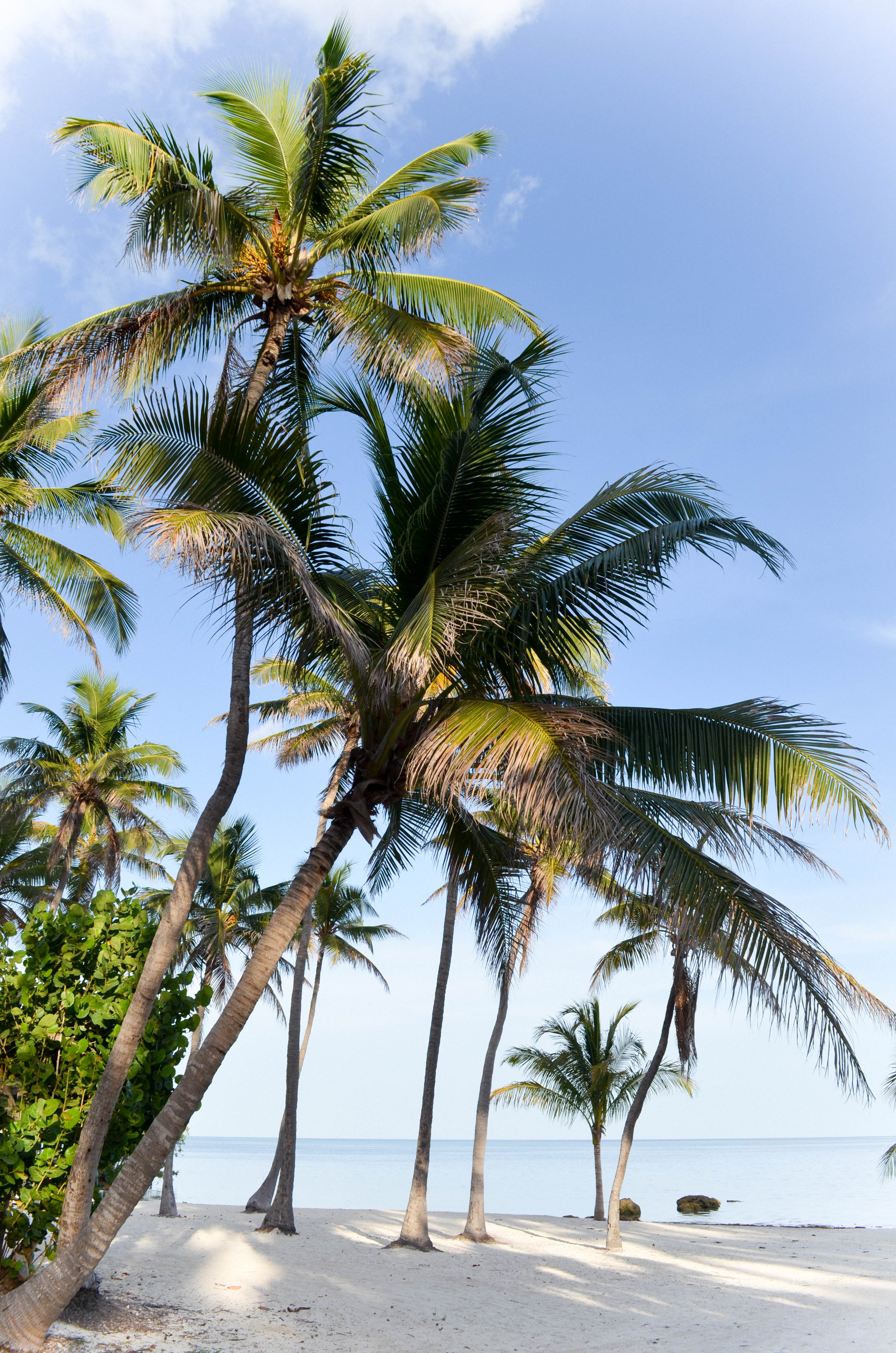 Summer Style In Islamorada - Beautifully Seaside