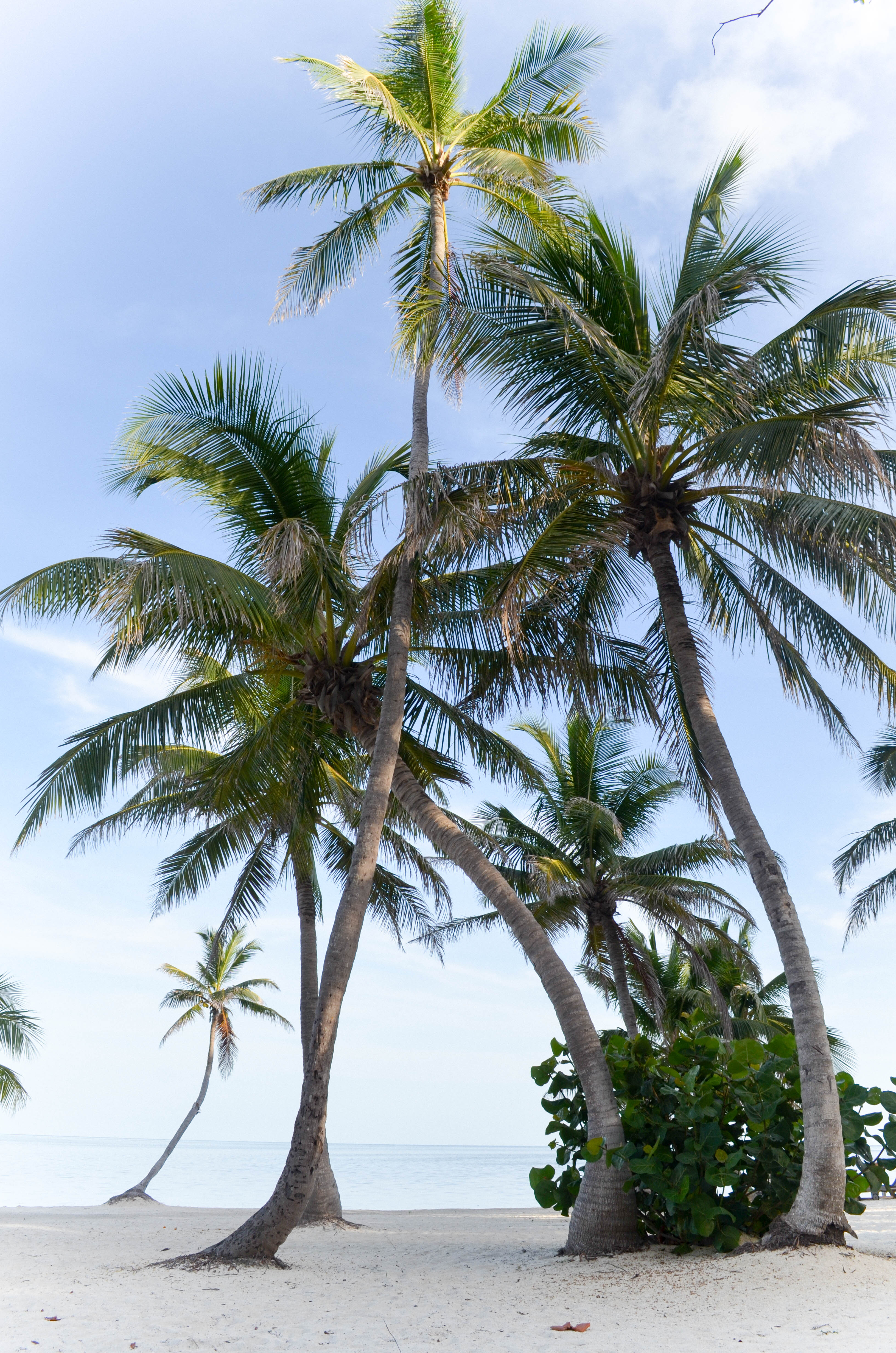 Summer Style In Islamorada - Beautifully Seaside