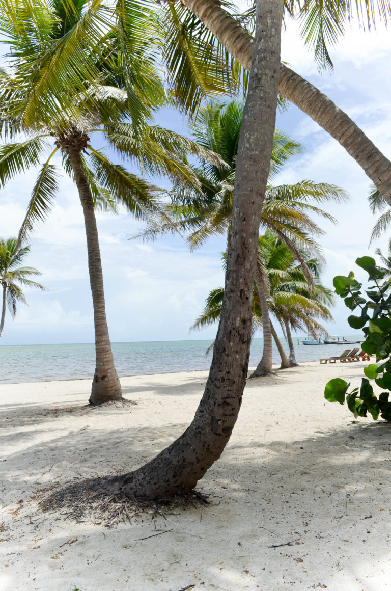 5 THINGS I’M LOVING FOR SPRING BREAK