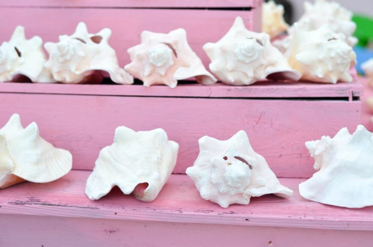 40 BEST APRIL SUMMER ARRIVALS