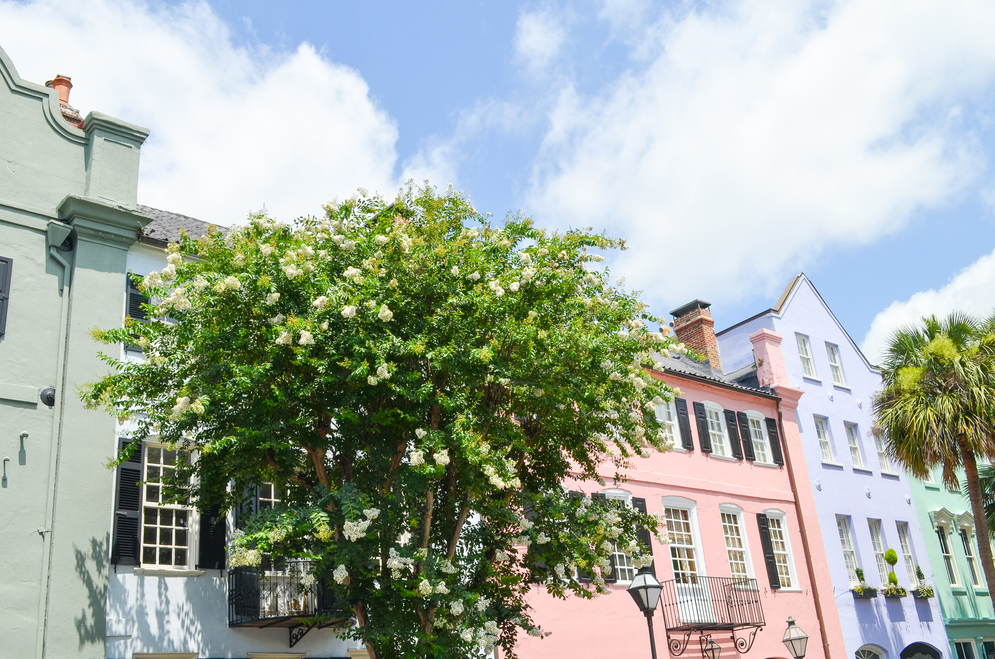 Rainbow Row in Charleston, SC