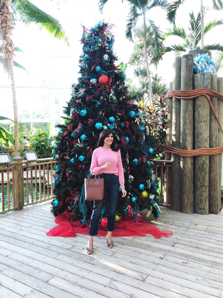 EVERYTHING I WORE TO THE FASTER WAY TO FAT LOSS CONFERENCE