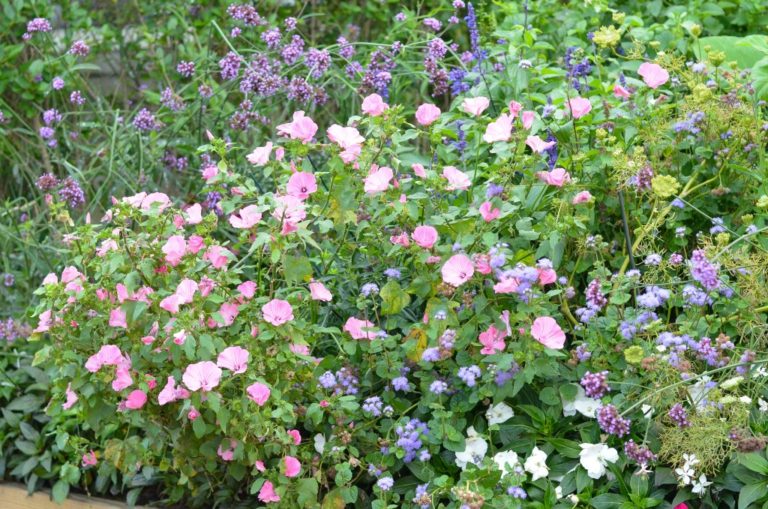 5 THINGS I’M LOVING FOR SUMMER