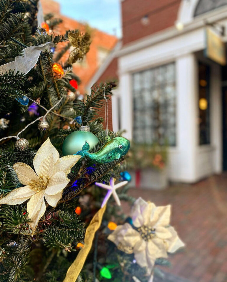 40 BEST HOLIDAY STYLES FOR YOU AND YOUR HOME