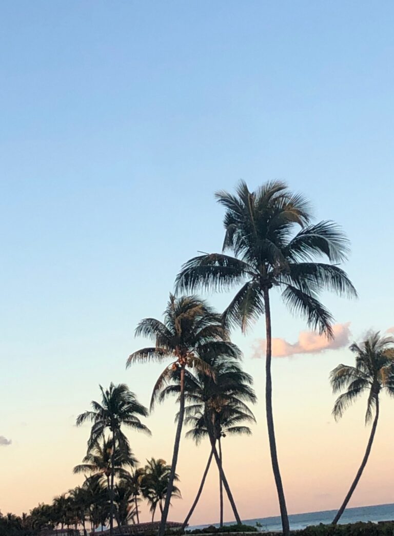 5 THINGS I’M LOVING