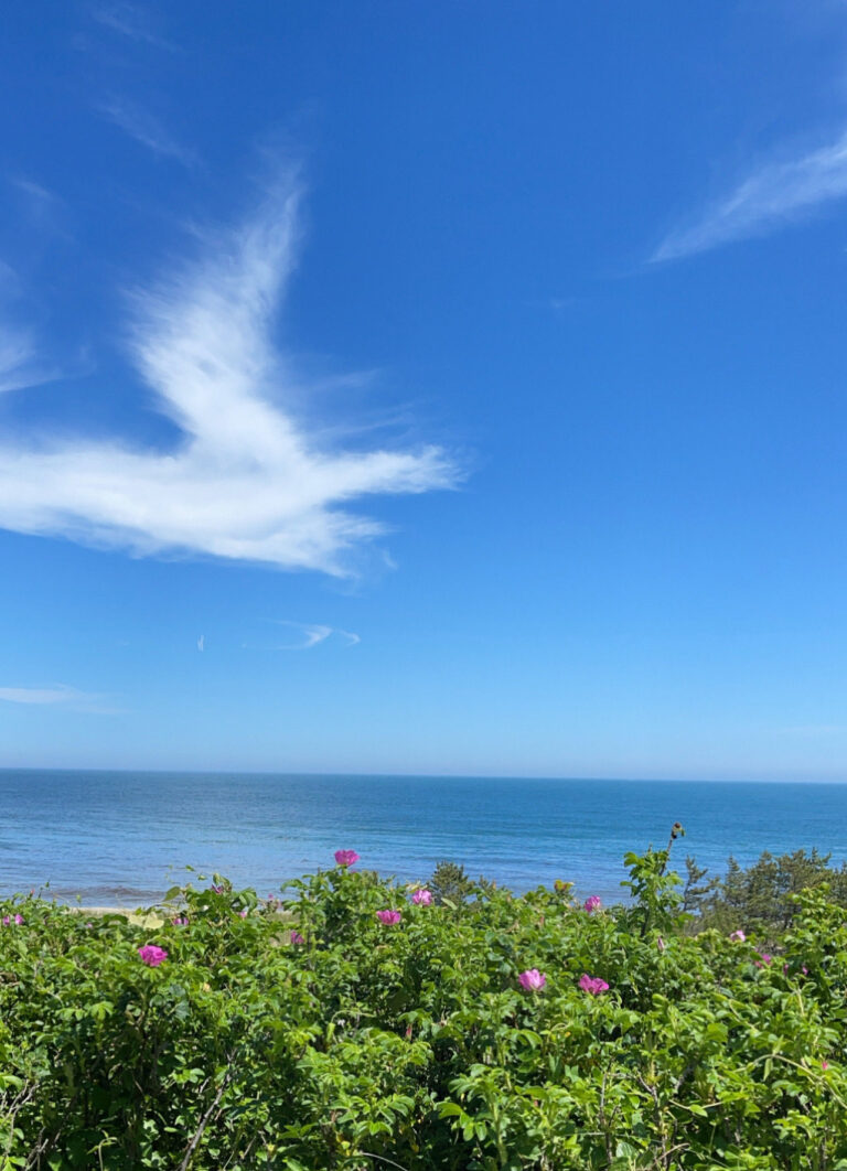 5 THINGS I’M LOVING