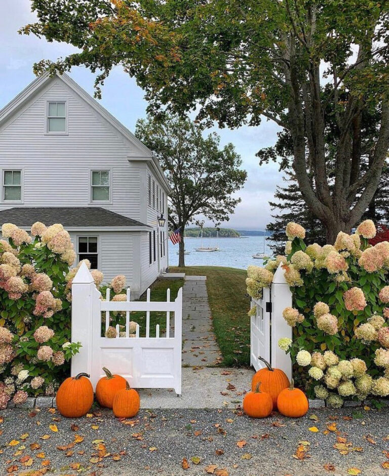 5 THINGS I’M LOVING