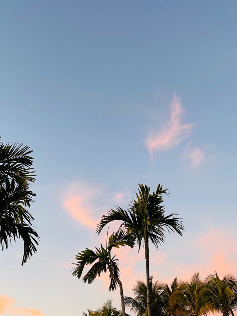 Desiree Leone of Beautifully Seaside features new arrivals in resort for 2023. Shop the latest vacations dresses and more!