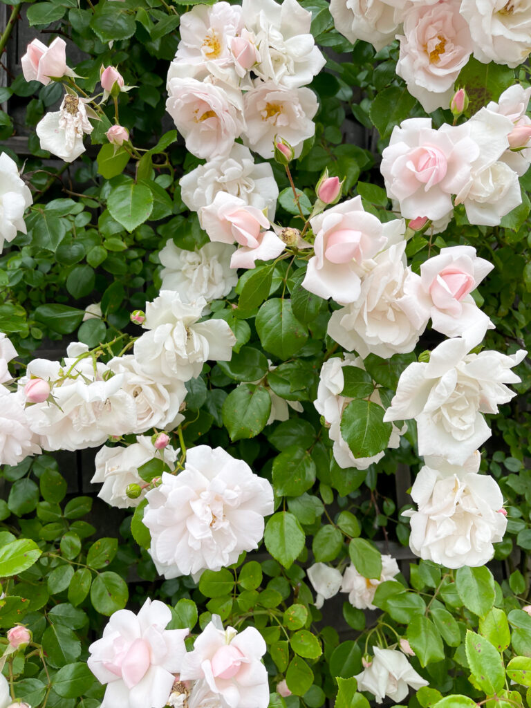 I Wanted My Home to Feel Like a Seaside Inn—Here’s What I Added. Lots of fresh new linens, wicker, candles, and more.