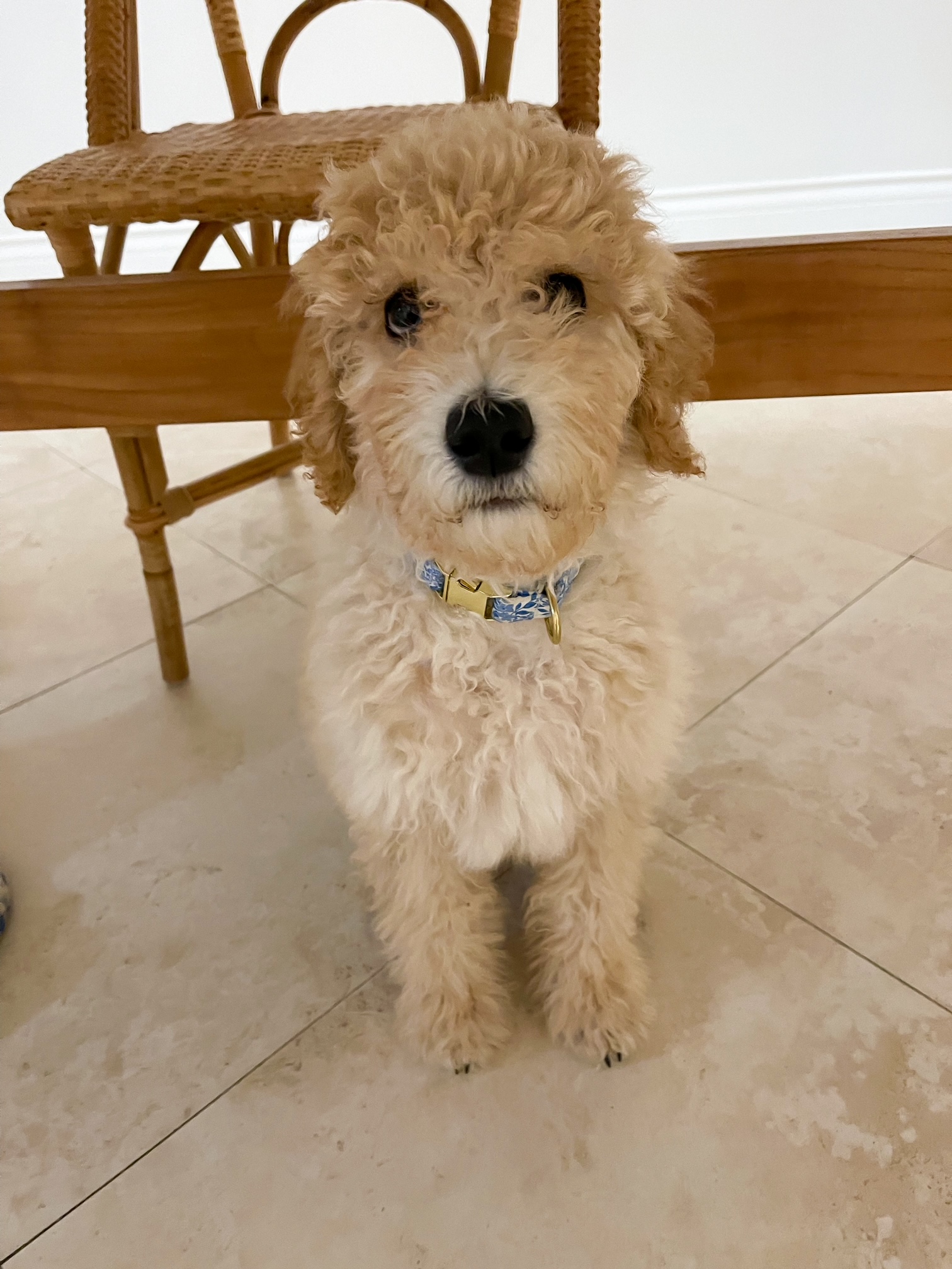 Desiree Leone of Beautifully Seaside shares, 10 Things That Feel a Little Extra… and That’s Why I Love Them.