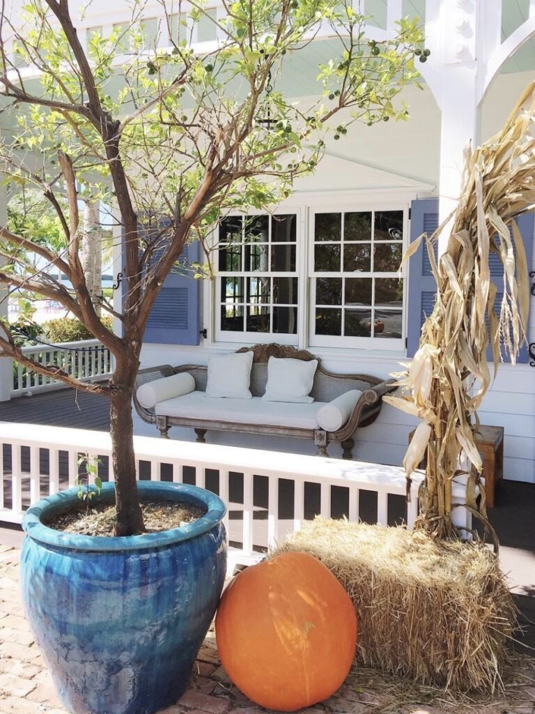 THE COZIEST FALL DECOR YOU’RE GOING TO LOVE