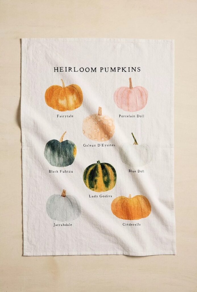 With fall just around the corner here are 8 easy ways to change your home decor from summer to fall with pumpkin kitchen towels.