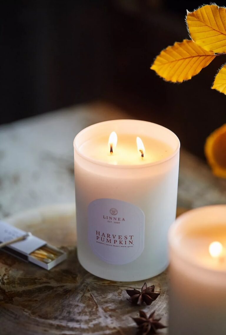 7 FALL CANDLES I’M LOVING THE MOST